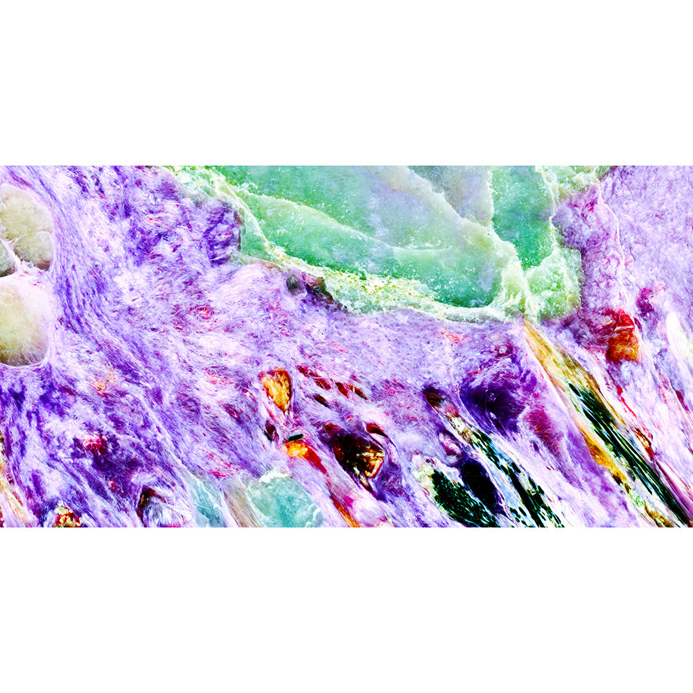 Charoite Gold Scarf