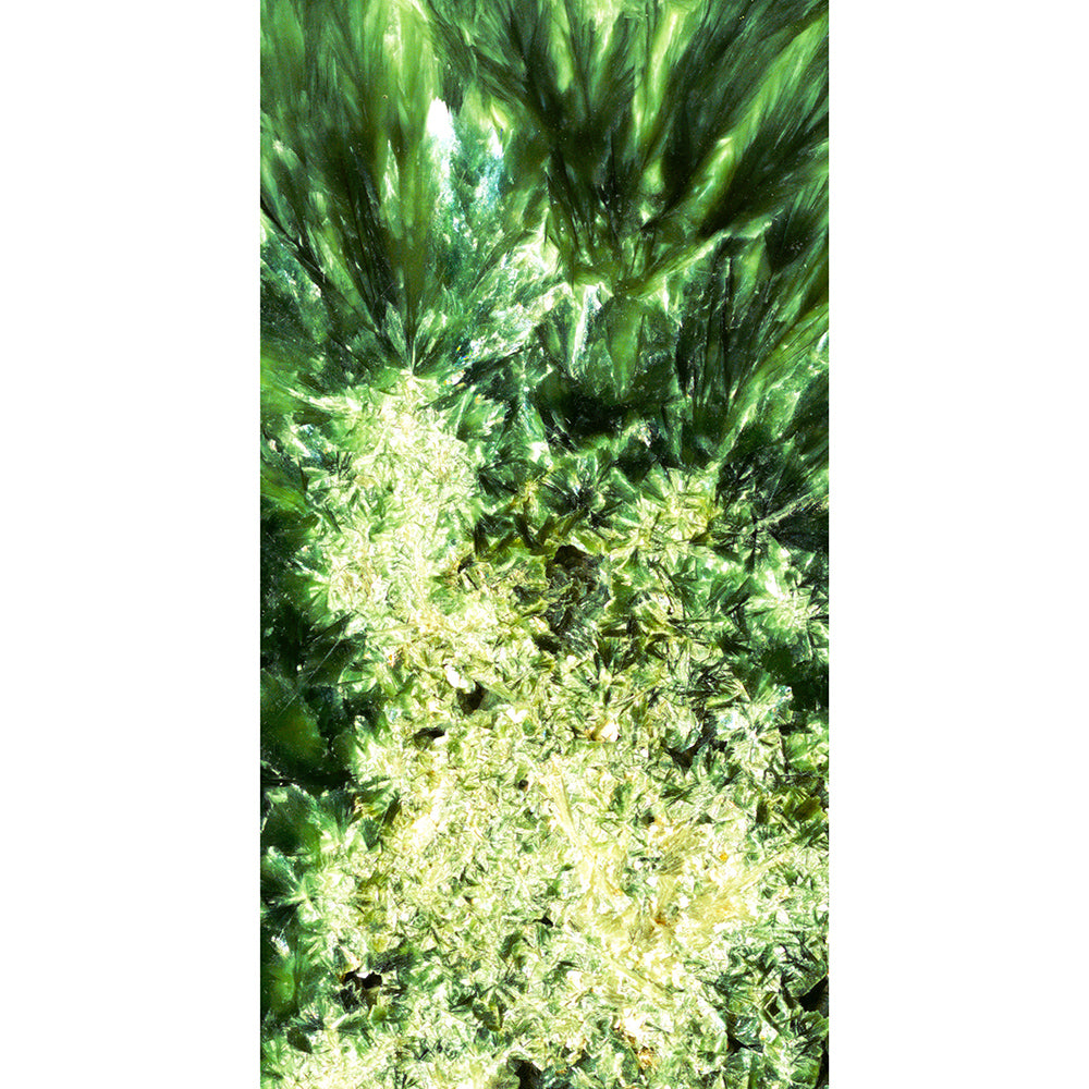 The Summer Fluorescence Scarf (Made To Order)