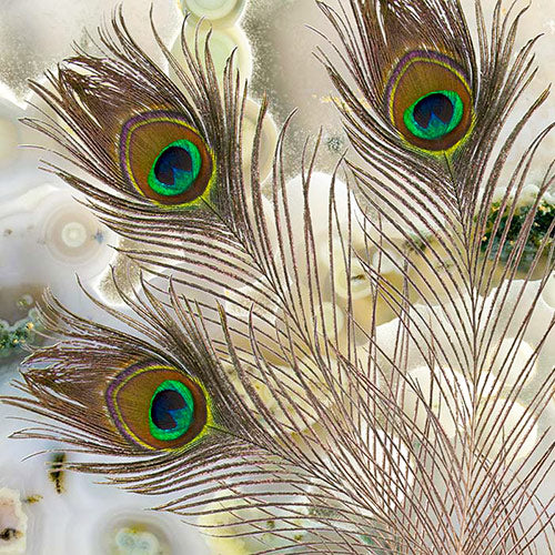 Peacock Orbicular Jasper Scarf