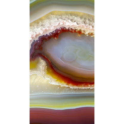 The Celebration Scarf