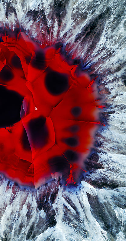 The Silver & Red Scarf