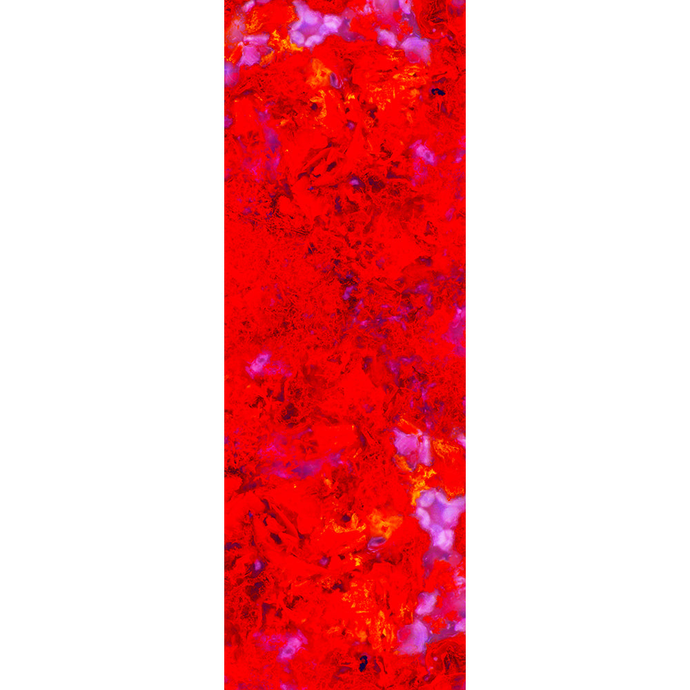The Bold & Natural Scarf