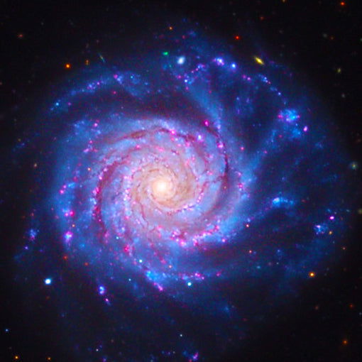 Liberty Nebula Spin - Weston