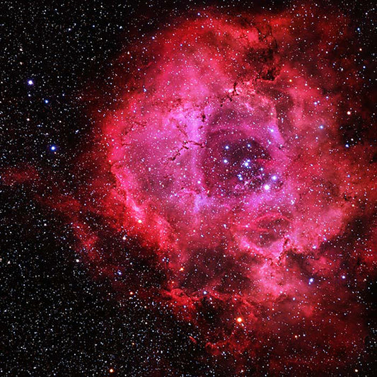 The Rose Nebula Scarf