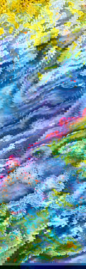 Planet MXAG Scarf - Weston