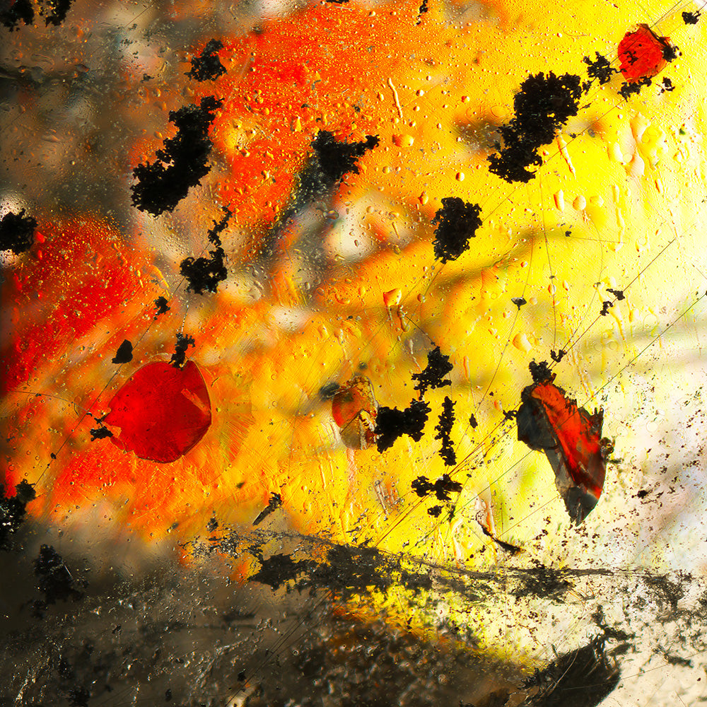 The Golden Quartz Scarf