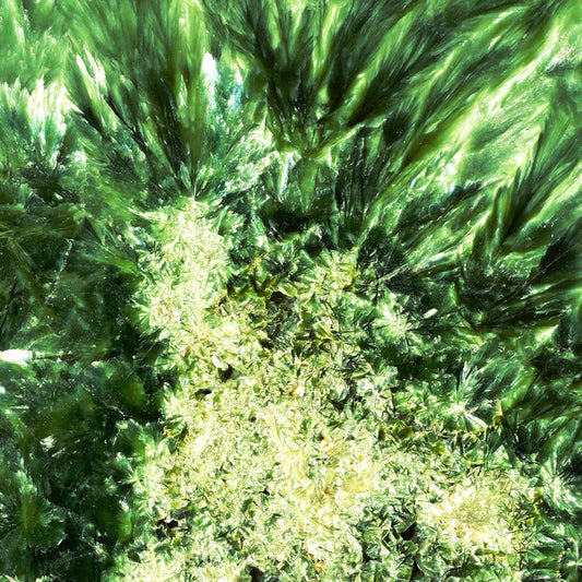 The Summer Fluorescence Scarf (Made To Order)