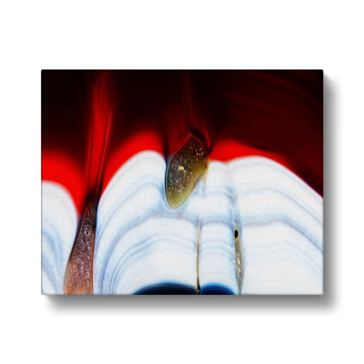 Talini Agate Canvas