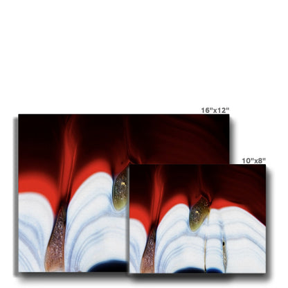 Talini Agate Canvas